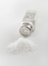 Salt Shaker and Pile Royalty Free Stock Photo