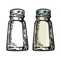 Salt shaker. Vintage black and color vector engraving illustration