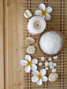 Salt,shells and tiare flowers Royalty Free Stock Photo