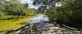 Salt Springs in Ocala National Forest, FL, USA Royalty Free Stock Photo