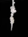 Salt Stalactite with water drop Royalty Free Stock Photo