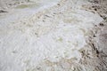 Salt surface crust Royalty Free Stock Photo