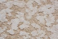 The salt terraces of Maras Cusco the snowcapped Salkantay Andes mountain peak in the background, Sacred Valley of the Inca, Royalty Free Stock Photo