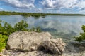 Salt water lagoon Princess Cays Bahamas