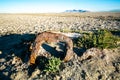 Saltair Ruins Near Great Salt Lake