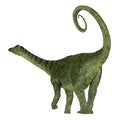 Saltasaurus Dinosaur Tail Royalty Free Stock Photo