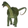 Saltasaurus Dinosaur on White Royalty Free Stock Photo