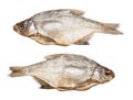 Salted bream on a white background