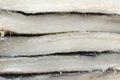 Salted codfish exposed in market stall