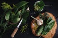 Salted cucumbers. Spices and herbs for making pickles. The top view of the wooden background Royalty Free Stock Photo