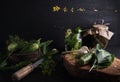 Salted cucumbers. Spices and herbs for making pickles. The top view of the wooden background Royalty Free Stock Photo