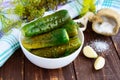 Salted cucumbers. Spices and herbs for making pickles of the wooden background. Royalty Free Stock Photo