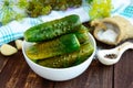 Salted cucumbers. Spices and herbs for making pickles of the wooden background. Royalty Free Stock Photo