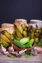 Salted cucumbers. Spices and herbs for making pickles on wooden background. Rustic stile Royalty Free Stock Photo