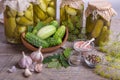 Salted cucumbers. Spices and herbs for making pickles on wooden background Royalty Free Stock Photo