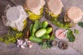 Salted cucumbers. Spices and herbs for making pickles on wooden background Royalty Free Stock Photo