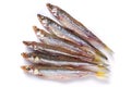 Salted-dried capelin fish Royalty Free Stock Photo