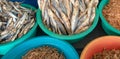 Salted dried and desiccated fish anchovies in food stall in Pettah market in Colombo Sri Lanka