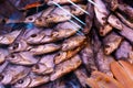 Dried fish chekhon on the counter of the store Royalty Free Stock Photo