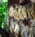 Salted dried fish. Summer meal