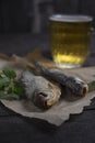 salted, dried vobla fish with amber beer on a dark wooden background with bread on the table selective focus Royalty Free Stock Photo