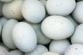 Salted duck eggs Royalty Free Stock Photo