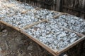 Salted fish caught by local fishermen that are dried in the sun so that they are durable and can last a long time, not rotting. Royalty Free Stock Photo