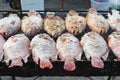 Salted Fish on the Charcoal Grill at the Street Market Royalty Free Stock Photo