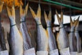 Salted fish hanging out Royalty Free Stock Photo