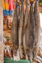 Salted fish in the market, King mackerel. Royalty Free Stock Photo