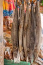 Salted fish in the market, King mackerel.