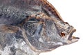 Salted flatfish Royalty Free Stock Photo
