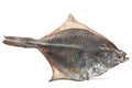 Salted flatfish Royalty Free Stock Photo