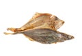 Salted flounder Royalty Free Stock Photo