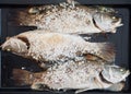 Salted fresh grouper fish on wooden tray