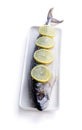 Salted Fresh Mackerel with lemon slices on serving plate isolated on white