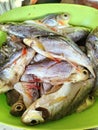 Salted freshwater fish is one way of preserving food.