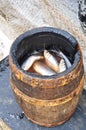 Salted herring in a barrel