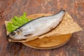 Salted herring fish Royalty Free Stock Photo