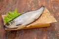 Salted herring fish Royalty Free Stock Photo