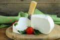 Salted milk cheese (feta cheese) Royalty Free Stock Photo