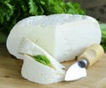 Salted milk cheese (feta cheese) Royalty Free Stock Photo