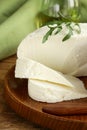 Salted milk cheese (feta cheese) Royalty Free Stock Photo