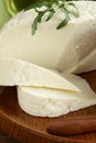 Salted milk cheese (feta cheese) Royalty Free Stock Photo