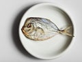 Salted moonfish on white plate