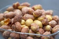 Salted peanuts in a glass bowl Royalty Free Stock Photo