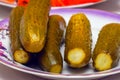 Salted pickled cucumbers on a plate