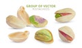 Salted pistachios isolated on white background. 3d vector pistache kernel.