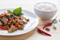 Salted pork with chili & Basil leaves and rice in plate Royalty Free Stock Photo