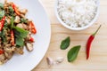 Salted pork with chili & Basil leaves and rice in plate Royalty Free Stock Photo